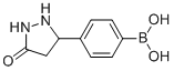 4-(5-OXOPYRAZOLIDIN-3-YL)PHENYLBORONIC ACID CAS#: 874290-64-9