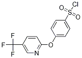 4-{[5-(TrifluoroMethyl)pyridin-2-yl]oxy}benzenesulfonyl chloride CAS#: 874838-96-7
