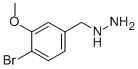 (4-BROMO-3-METHOXY-BENZYL)-HYDRAZINE CAS#: 887595-20-2