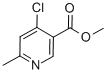 4-CHLORO-6-METHYL-NICOTINIC ACID METHYL ESTER CAS#: 886372-05-0