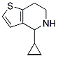 4-CYCLOPROPYL-4,5,6,7-TETRAHYDRO-THIENO[3,2-C]PYRIDINE CAS#: 869472-59-3