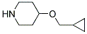 4-(CYCLOPROPYLMETHOXY)PIPERIDINE CAS#: 865106-51-0