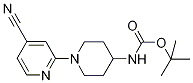 (4'-Cyano-3,4,5,6-tetrahydro-2H-[1,2']bipyridinyl-4-yl)-carbaMic acid tert-butyl ester, 98+% C16H22N4O2, 分子量 302.37 CAS#: 848500-10-7