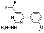[4-DIFLUOROMETHYL-6-(3-METHOXYPHENYL)-PYRIMIDIN-2-YL]-HYDRAZINE CAS#: 861226-63-3