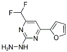 (4-DIFLUOROMETHYL-6-FURAN-2-YL-PYRIMIDIN-2-YL)-HYDRAZINE CAS#: 869946-84-9