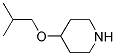 4-ISOBUTOXY-PIPERIDINE CAS#: 883530-42-5