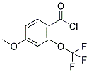 4-METHOXY-2-(TRIFLUOROMETHOXY)BENZOYL CHLORIDE CAS#: 886502-42-7