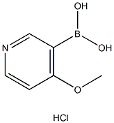 4-Methoxypyridine-3-boronic acid, HCl CAS#: 874959-97-4