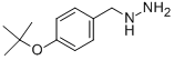 (4-TERT-BUTOXY-BENZYL)-HYDRAZINE CAS#: 887594-84-5