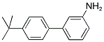4'-TERT-BUTYL[1,1'-BIPHENYL]-3-AMINE CAS#: 893738-00-6