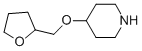 4-(tetrahydrofuran-2-ylmethoxy)piperidine CAS#: 883537-64-2