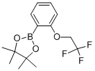 4,4,5,5-TETRAMETHYL-2-[2-(2,2,2-TRIFLUORO-ETHOXY)-PHENYL]-[1,3,2]DIOXABOROLANE CAS#: 864754-11-0