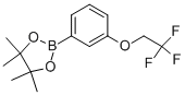 4,4,5,5-TETRAMETHYL-2-[3-(2,2,2-TRIFLUORO-ETHOXY)-PHENYL]-[1,3,2]DIOXABOROLANE CAS#: 864754-15-4