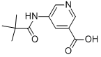 5-(2,2-DIMETHYL-PROPIONYLAMINO)-NICOTINIC ACID CAS#: 879326-77-9