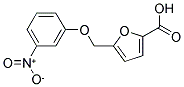 5-(3-NITRO-PHENOXYMETHYL)-FURAN-2-CARBOXYLIC ACID CAS#: 861225-55-0