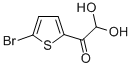 5-BROMO-2-THIOPHENEGLYOXAL HYDRATE CAS#: 852619-28-4