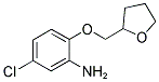 5-CHLORO-2-(TETRAHYDRO-2-FURANYLMETHOXY)ANILINE CAS#: 893751-15-0