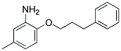 5-METHYL-2-(3-PHENYLPROPOXY)ANILINE CAS#: 857347-96-7