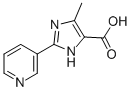 5-METHYL-2-PYRIDIN-3-YL-3H-IMIDAZOLE-4-CARBOXYLIC ACID CAS#: 864461-16-5