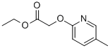 (5-METHYL-PYRIDIN-2-YLOXY)-ACETIC ACID ETHYL ESTER CAS#: 864684-79-7