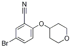 5-broMo-2-(tetrahydro-2H-pyran-4-yloxy)benzonitrile CAS#: 876918-62-6