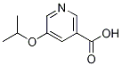 5-isopropoxynicotinic acid CAS#: 863507-81-7