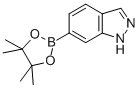6-(4,4,5,5-TETRAMETHYL-[1,3,2]DIOXABOROLAN-2-YL)-1H-INDAZOLE CAS#: 861905-87-5