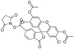6-CARBOXY-2',7'-DICHLOROFLUORESCEIN-3',6'-DIACETATESUCCINIMIDYL ESTER CAS#: 852299-81-1