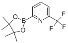 6-(TRIFLUOROMETHYL)PYRIDINE-2-BORONIC ACID PINACOL ESTER CAS#: 881402-16-0