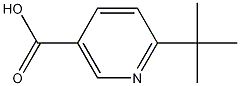 6-tert-butylnicotinic acid CAS#: 832715-99-8