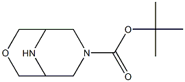 7-Boc-3-oxa-7,9-diazabicyclo[3.3.1]nonane CAS#: 864448-41-9