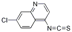 7-chloro-4-isothiocyanatoquinoline CAS#: 884647-32-9