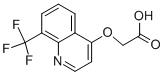(8-Trifluoromethyl-quinolin- 4-yloxy)-acetic acid CAS#: 845264-81-5