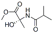 Alanine,  2-hydroxy-N-(2-methyl-1-oxopropyl)-,  methyl  ester CAS#: 883456-95-9