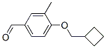 Benzaldehyde, 4-(cyclobutylmethoxy)-3-methyl- (9CI) CAS#: 820237-05-6