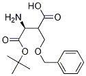 Boc-(S)-3-aMino-2-(benzyloxyMethyl)propanoic acid CAS#: 865704-62-7