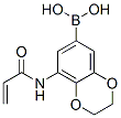 Boronic  acid,  [2,3-dihydro-8-[(1-oxo-2-propenyl)amino]-1,4-benzodioxin-6-yl]-  (9CI) CAS#: 886974-25-0