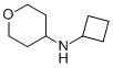 CYCLOBUTYL-(TETRAHYDRO-PYRAN-4-YL)-AMINE CAS#: 885280-95-5
