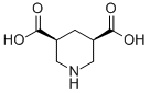 Cis-3,5-Piperidinedicarboxylic acid CAS#: 876367-84-9