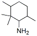 Cyclohexanamine, 2,2,3,6-tetramethyl- CAS#: 854727-77-8