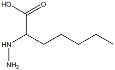 Enanthic  acid,  -alpha--hydrazino-  (4CI) CAS#: 854217-25-7