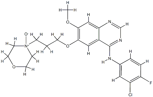 Gefitinib N-Oxide CAS#: 847949-51-3