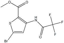 Methyl 5-broMo-3-(2,2,2-trifluoroacetaMido)thiophe CAS#: 852330-31-5