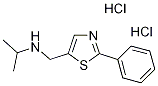 N-[(2-Phenyl-1,3-thiazol-5-yl)methyl]propan-2-amine dihydrochloride CAS#: 886494-14-0