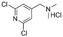 N-[(2,6-DICHLORO-4-PYRIDYL)METHYL]-N,N-DIMETHYLAMINE HYDROCHLORIDE CAS#: 849060-72-6