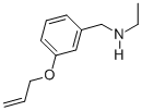 N-(3-(ALLYLOXY)BENZYL)ETHANAMINE CAS#: 869942-49-4