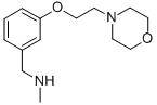 N-METHYL-N-[3-(2-MORPHOLIN-4-YLETHOXY)BENZYL]AMINE CAS#: 857284-10-7