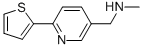 N-Methyl-(6-thien-2-ylpyrid-3-yl)methylamine CAS#: 886851-41-8