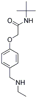N-(TERT-BUTYL)-2-(4-[(ETHYLAMINO)METHYL]PHENOXY)ACETAMIDE CAS#: 861226-19-9