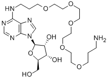 N6-[((((3-AMINOPROPOXY(ETHOXY))ETHOXY)ETHOXY)ETHOXY)-PROPYL]ADENOSINE CAS#: 869354-87-0